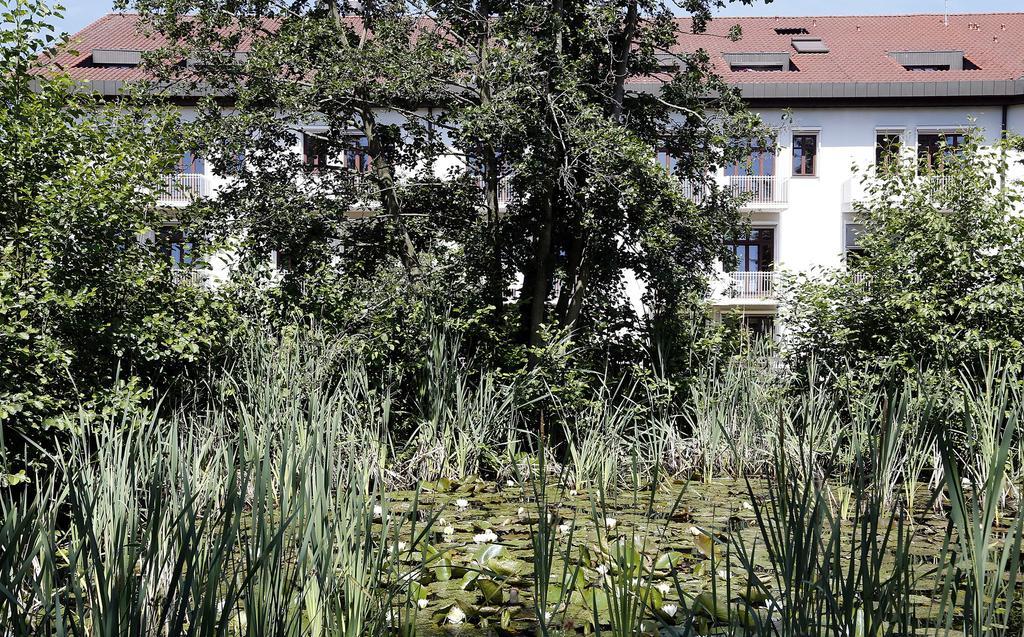 Tagungs- Und Bildungszentrum Steinbach/Taunus Steinbach im Taunus Ngoại thất bức ảnh